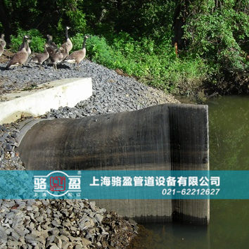 直嘴<a href=http://www.henantianyue.com target=_blank class=infotextkey>橡膠止回閥</a>運(yùn)行現(xiàn)場(chǎng)